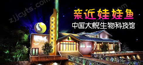 全面細(xì)心售后讓您更省心